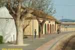 Beniganim