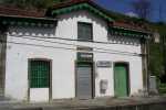Malvedo